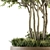 Green Oasis: Outdoor Plants in Concrete Pot 3D model small image 3