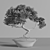 2015 Bonsai Plant - Premium Quality 3D model small image 5