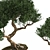 2015 Bonsai Plant - Premium Quality 3D model small image 8