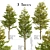 Set of Overcup Oak Trees (3 Trees) 3D model small image 1