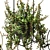 Hanging Planter Set: Cascading Ampel Plants 3D model small image 3
