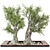 3D Garden Set Tree - Outdoor Plants 3D model small image 2