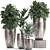 Luxury Plant Collection: Exotic & Tropical Beauties 3D model small image 1