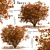 Chinese Tallow Tree Set: Spectacular Fall Colors 3D model small image 2