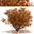 Chinese Tallow Tree Set: Spectacular Fall Colors 3D model small image 5