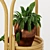 Wooden Stand Decorative Plant 3D model small image 3