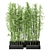  Rusty Concrete Pot Indoor Bamboo Plants Set 3D model small image 4