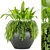 High-Quality Plant Collection (Vol 46) 3D model small image 1