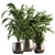 Tropical Oasis: Indoor Plant Set 112 3D model small image 1