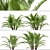 Dwarf Sugar Palm Set: Tropical Paradise (2 Trees) 3D model small image 6