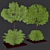 Garden Oasis Bush & Tree Set 3D model small image 5