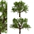  Majestic White Oak Trees (2 Pack) 3D model small image 4