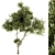 Maple Green Tree Set 29 3D model small image 2