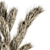 Phalaris Bouquet: Dried Botanical Charm 3D model small image 3