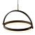 Modern Brushed Brass Pendant: Franz 3D model small image 3