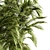 Tropical Bliss: Green Palm Bundle - Set of 32 3D model small image 2