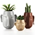 Kashpo Set: Stylish and Versatile Planters 3D model small image 7