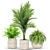 Lush Greenery: Plants Collection 438 3D model small image 2