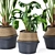 12-Piece Set: Indoor Plants in Wicker Pots 3D model small image 2