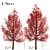 Premium Red Oak Tree Set (2 Trees) 3D model small image 2