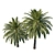 Elegant Phoenix Palm Tree 3D model small image 2