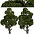 Round Shaped Bonsai Trees Duo (2 Trees) 3D model small image 5