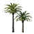 Elegant Phoenix Palm Tree 03 3D model small image 1