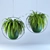 Lush Green Hanging Fern Duo 3D model small image 1