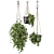 Rustic Concrete Pot with Macrame Indoor Plants - Set 17 3D model small image 2