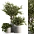 Outdoor Greenery in Concrete Pot - Set 141 3D model small image 1