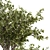 Outdoor Greenery in Concrete Pot - Set 141 3D model small image 3