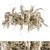 Botanical Bliss: Dried Plant Hanging Set 3D model small image 1