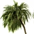 Tropical Bliss - Palm Tree Set 3D model small image 3