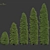 Golden Oriental Arborvitae - 2-6m 3D model small image 3