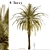 Exquisite Set of Date Palm Trees 3D model small image 1