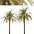 Exquisite Set of Date Palm Trees 3D model small image 4