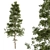 Evergreen Elegance - Pine Tree Set 3D model small image 1