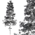 Evergreen Elegance - Pine Tree Set 3D model small image 4