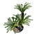 Cycas Revoluta Palm Planter Pot 3D model small image 2