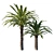 Phoenix Palm Tree 3D Model 3D model small image 1