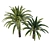 Phoenix Palm Tree 3D Model 3D model small image 2