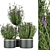 Premium Plant Collection Vol. 60 3D model small image 1