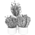 Premium Plant Collection Vol. 60 3D model small image 3