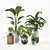 PBR-configured Indoor Plant Set 3D model small image 1