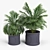 Birmingham Palm Planter: 3D Design 3D model small image 2