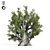 Evergreen Olive Tree Sculpture 3D model small image 4