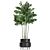 Title: Exotic Plant Collection in Black Vases 3D model small image 3