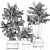 Title: Exotic Plant Collection in Black Vases 3D model small image 5