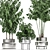 Tropical Chrome Plant Collection 3D model small image 4