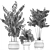 Tropical Chrome Plant Collection 3D model small image 5